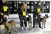 Putin je svojo vojsko okrepil s kloniranimi psi