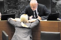 Zakon o tujcih: ministrica Györkös Žnidarjeva in predsednik parlamenta Brglez sta snela rokavice