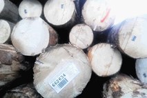 Novo gozdarsko podjetje Slovenski državni gozdovi je v Slovenijo priklicalo Avstrijce 
