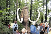 Ustvarili bodo  hibrid mamuta in  slona