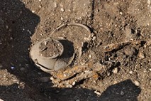 V Brežicah so odkrili grob keltskega bojevnika z bojnim vozom