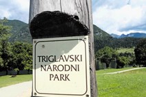 Triglavski narodni park: Še daleč od izbire novega direktorja