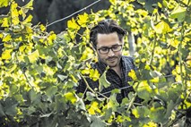 Hannes Sabathi, avstrijski vinar, ki je kupil največjo vipavsko klet