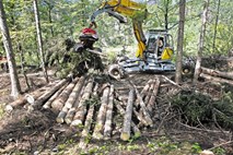 Družba Slovenski državni gozdovi: Zlatko Ficko bi le vladal, kazni naj plačujejo podrejeni