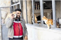 Mačji človek iz Alepa