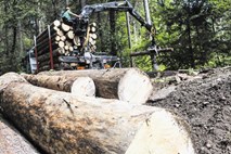 Gospodarsko ministrstvo bi družbi Slovenski državni gozdovi zapovedalo, da vzpostavlja lesne centre