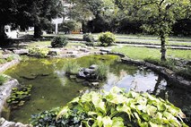 Pozabljeni Plečnikov  vrt ob poljanski vili