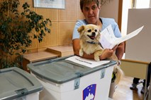 Volišča po Sloveniji so se zaprla: prve vzporedne volitve po Evropi kažejo na zmago skrajne desnice v Avstriji, na Hrvaškem Plenkovićeva HDZ