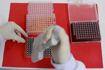 Izbruh virusa ob Gardskem jezeru: hospitaliziranih več kot 300 ljudi