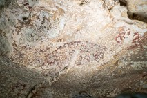 V Indoneziji odkrili najstarejšo jamsko poslikavo v zgodovini človeštva