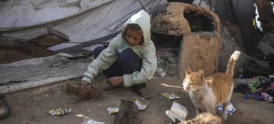 Palestinian Manal al-Hasoumi, 8, feeds cats leftover food next to her family's tent, which is locally made from pieces of cloth and nylon, at a camp for internally displaced Palestinians on the beachfront in Deir al-Balah, central Gaza Strip, Friday, Dec. 27, 2024. (AP Photo/Abdel Kareem Hana)