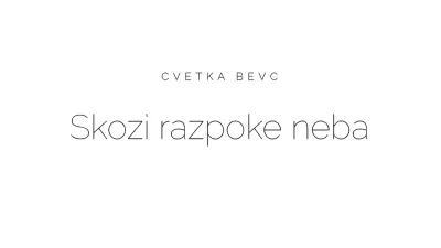 Cvetka Bevc Skozi razpoke sveta